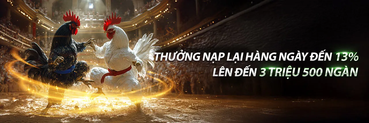 Đá gà trực tuyến KK88 Nhà Cái